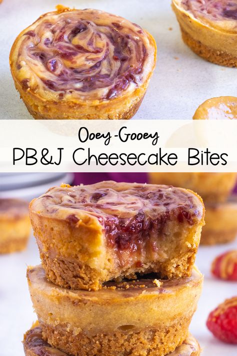 Pb J Recipes, Peanut Butter And Jelly Bites, Pb And J Cupcakes, Pb And J Bites, Pb And J Cake, Pb And J Cheesecake, Pb And J Desserts, Peanut Butter Appetizer, Peanut Butter Jelly Desserts