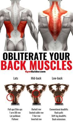 Back Workout Program, Fitness Goals List, Big Arms, Hardcore Workout, Gym Workout Chart, Men Love, Weight Training Workouts, Back Muscles, Gym Workout Tips