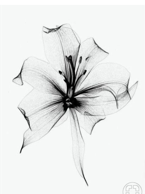 Tattoo Lily, 27 Tattoo, Jack Tattoo, Diy Tattoo Permanent, Inspiration Tattoos, Mandala Tattoo Design, Diy Tattoo, Spine Tattoos, Elegant Tattoos