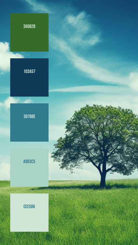 Colors:
366B2B
103A57
307B8E
A9D3C5
CEE5D6 Symbol Of Life, Lone Tree, Green Colour Palette, Life Symbol, Open Field, Hex Colors, Colour Inspiration, White Clouds, Digital Planning