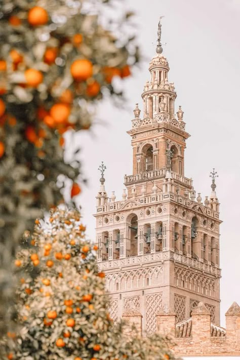 11 Best Things To Do In Seville, Spain - Hand Luggage Only - Travel, Food & Photography Blog Seville Spain Photography, Seville Aesthetic, Seville Photography, Cathedral Photography, Spain Wallpaper, Seville Cathedral, Photography Things, Spain Aesthetic, Places In Spain