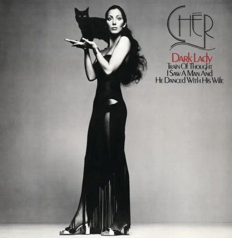 Disco Roller Skating, Cher Outfits, Cher Bono, Cher Photos, Hell On Wheels, Helmut Newton, Lp Cover, Richard Avedon, Music Album Covers