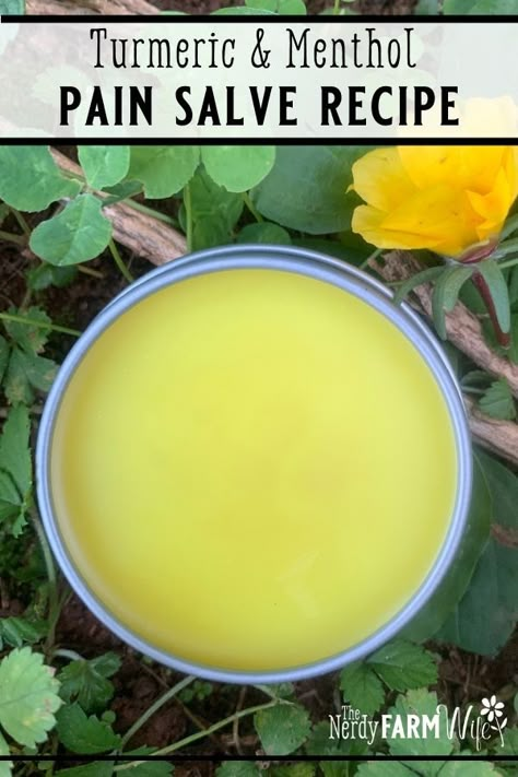 Turmeric Salve Recipe, Goldenrod Salve Recipe, Diy Salve, Herbal Pain Relief, Pain Relief Salve, Cooking With Turmeric, Wild Herbs, Salve Recipes, Menthol Crystals