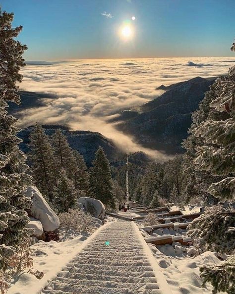 Manitou Incline above the clouds on a snowy day! 😍 Colorado 📷: RicK Webb Photography Manitou Incline, Manitou Springs Colorado, Nature Places, Colorado Photography, A Snowy Day, Places On Earth, Awesome Pictures, Beautiful Places On Earth, Boulder Colorado