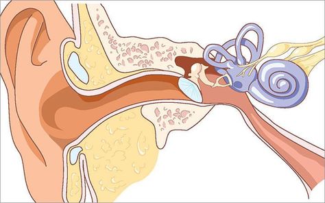 7 Health Documentaries on Netflix You Don't Want to Miss | YogiApproved.com Ear Diagram, Middle Ear, Ear Health, Pose Yoga, Chronic Condition, Consumer Protection, Health Info, Health Professionals, Medical Conditions