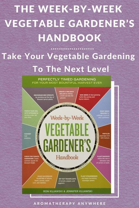 The Week-by-Week Vegetable Gardener’s Handbook is one of the most useful books for beginner and experienced gardeners looking to make the most of the growing season. Read my full review here. Gardening Zone 6, Harvesting Carrots, Aquaponics Diy, Gardening Zones, Organic Vegetable Garden, Survival Gardening, Strawberry Plants, Bountiful Harvest, Growing Tomatoes