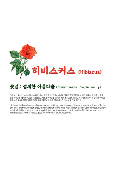 Hibiscus Meaning, Hibiscus Flower Design, Fragile Beauty, Paint Flowers, Korean Alphabet, Flower Meanings, Flower Diy, Language Of Flowers, Design Pillow