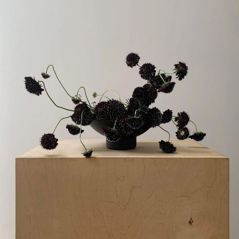 Add a touch of whimsy to your wedding with Ikebana-style florals Agos Muni, Sogetsu Ikebana, Ancient Japanese Art, Muted Palette, Ikebana Arrangements, Ikebana Flower Arrangement, Flower Installation, Dried Floral, Black Flowers