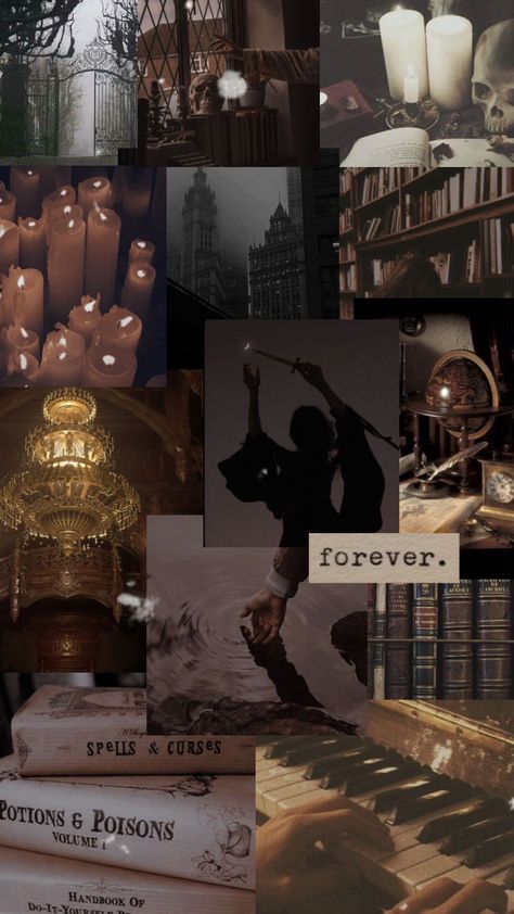 #dark #darkacademia #darkacademiaaesthetic #darkaesthetic #moodboard #evil #study #school #books #library #evilaesthetic #schoolforevil #schoolforgoodandevil #vibes #wallpaper #spooky #vintageaesthetic Good And Evil Wallpaper, Good And Evil Aesthetic, Evil Wallpaper, Evil Aesthetic, Books Library, School For Good And Evil, Vibes Wallpaper, Dark Academia Aesthetic, School Books