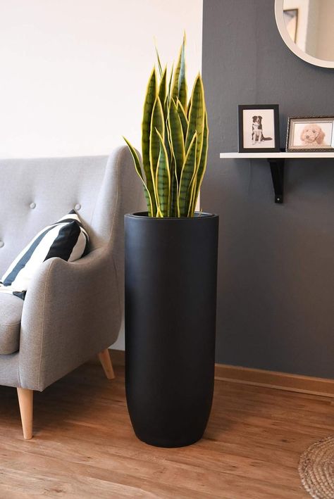 Vivanno Pflanzgefäß Bodenvase SOLERIO Fiberglas Schwarz Matt (80x33) Cosy Living, House Decor, Shopping List, Planter Pots, Sweet Home, Couch, Vase, Floral, Quick Saves