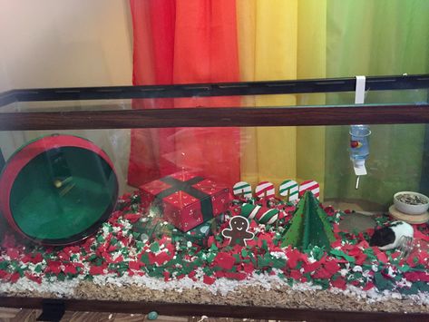 Christmas Hamster, Hamster Cage, Christmas Pet, Gerbil, Pet Cage, Rodents, Christmas Animals, Cute Animals, Merry Christmas