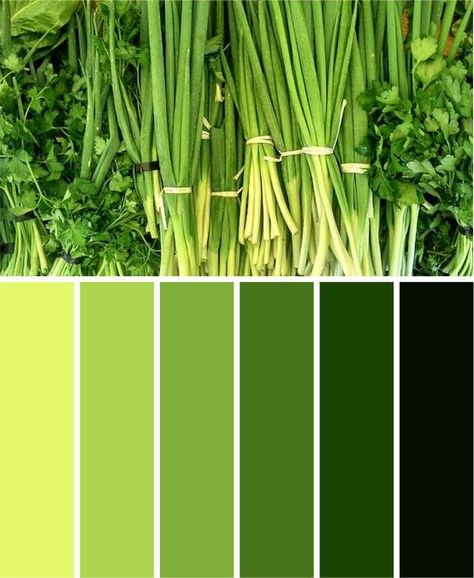 Lime Green Colour Palette, Bright Green Color Palette, Green Color Chart, Green Monochromatic, Pista Green Colour, Apple Green Color, Adobe Color, Colored Walls, Green Color Combinations