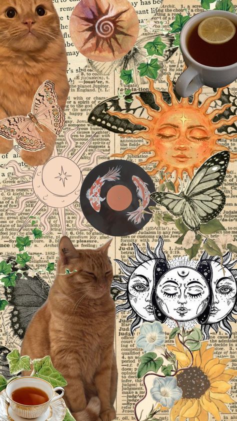 #cat #vibe #tea #sun #pfp #screen Cat Screensaver, Sun Pfp, Cat Vibe, Screen Savers, Wallpapers, Screen, Sun, Tea, Pins