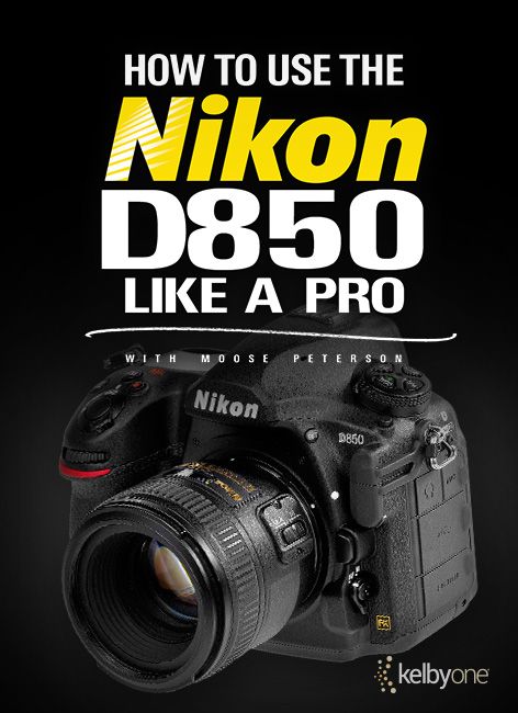 Nikon D 850 Camera, Nikon D850 Photography, Nikon D850 Tips, Nikon D850 Cheat Sheet, Nikon Tips, Photographing Art, D850 Nikon, Photography Tricks Nikon, Photography Practice