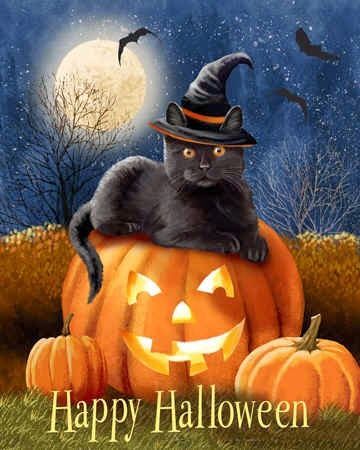 Halloween Black Cat pumpkin halloween happy halloween black cat graphic halloween quote halloween greeting Happy Halloween Video, Happy Halloween Quotes, Helloween Wallpaper, Happy Halloween Pictures, Halloween Humor, Happy Halloween Banner, Halloween Kunst, Halloween Gif, Cat Halloween Costume