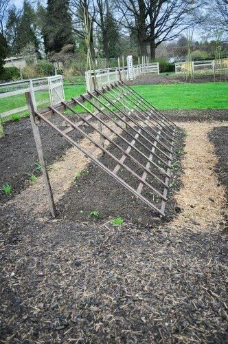 Trellis for climbers like cukes, making a shady spot for lettuce underneath Leaning Trellis, Longwood Gardens, Garden Veggies, Veg Garden, Vegetable Garden Design, Garden Trellis, Shade Plants, Garden Structures, Ideas Pictures