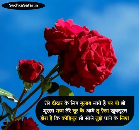 Rose Shayari In Hindi, Rose Shayari, Shayari For Him, Rose Day Shayari, Happy Rose Day, Sinchan Wallpaper, Image For, Rose Day, Mehndi Designs For Fingers