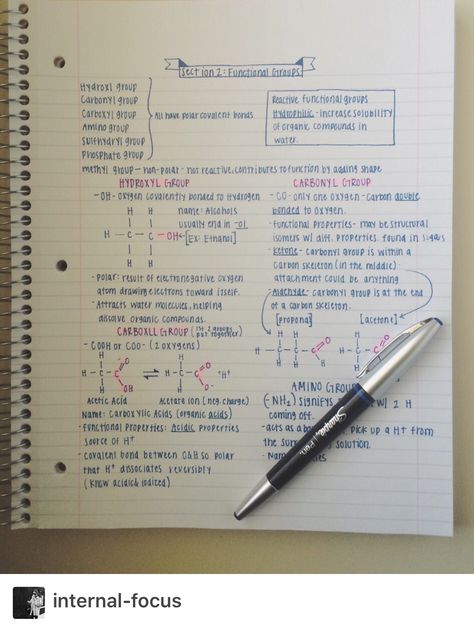 Anthropology Notes, Chemistry Short Notes, 11th Chemistry, Notes Inspo, Organization Notes, Short Notes, Functional Group, Neat Handwriting, Chemistry Lessons