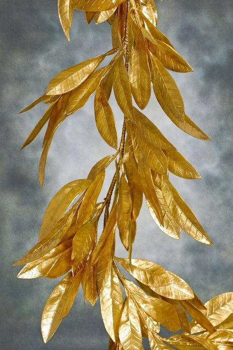 Christmas Gold Aesthetic, Toga Theme, Bay Leaf Garland, Fall Container Plants, Bay Laurel Tree, Burning Bay Leaves, Lotus Image, Gold Design Background, Winter Leaves