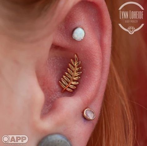 Unique Faces, Some Body, Body Piercings, Body Piercing Jewelry, Jewelry Inspo, Conch, Piercing Jewelry, Tattoos And Piercings, Body Jewelry