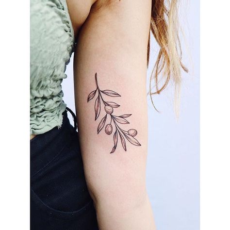 Olive Branch Tattoo Meaning, Olive Tree Tattoo, Olive Tree Tattoos, Olive Tattoo, Olive Branch Tattoo, Hope Tattoo, Branch Tattoo, Jesus Tattoo, Forearm Tattoo Women