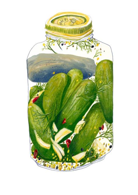 A jar of pickles and lots of garlic. #pickles #kitchen #illustration #foodillustration Pickles Illustration, Pickle Illustration, Garlic Illustration, Garlic Pickles, Jar Of Pickles, Kitchen Illustration, Pickled Garlic, Pickle Jar, Lighthouse Painting