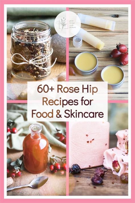 60+ Rose Hip Recipes for Food & Skincare - If you're looking for all the best rose hip recipes, you're in luck. Here are over 60 of my favorite rose hip recipes for food like rosehip jelly, rose hip jam with apple, rose hip syrup, rose hip cocktails and rose hip soup. Plus all natural herbalism skincare recipes for rose hip soap, rose hip tea, and rose hip salve. Rose Hip Recipes, Rosehip Jelly, Rose Hip Tea, Plants Medicinal, Rosehip Recipes, Beeswax Soap, Small Farming, Edible Weeds, Rosehip Tea