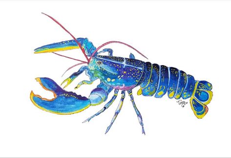 Blue Lobster Painting, Blue Lobster Art, Crustaceans Art, Kids Art Journal, Lobster Drawing, Blue Crabs Art, Tupac Art, Lobster Art, Dinosaur Sketch