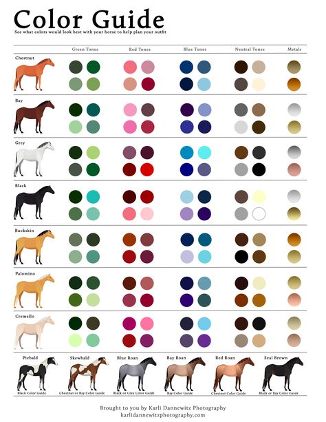 Horse Tack Color Guide, Horse Tack Colour Chart, Best Tack Colors For Paint Horses, Horse Tack Color Chart, Horse Coat Colors Chart, Black Horse Color Tack, Tack Colors For Horses, Horse Colors Chart, Horse Color Chart Tack