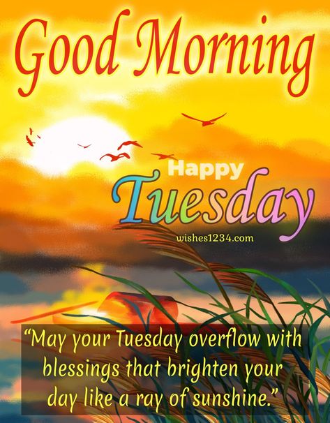 Happy Blessed Tuesday, Tuesday Blessed, Tuesday Morning Quotes, Blessed Tuesday, Quotes Blessed, Happy Tuesday Images, Good Morning Bible Verse, Good Morning Tuesday Images, Happy Tuesday Morning