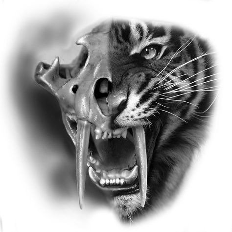 Arm Tattoos Drawing, Tiger World, Pocket Watch Tattoos, Tiger Skull, Biker Tattoos, Tiger Tattoo Design, Scratch Art, Desenho Tattoo, Tiger Tattoo