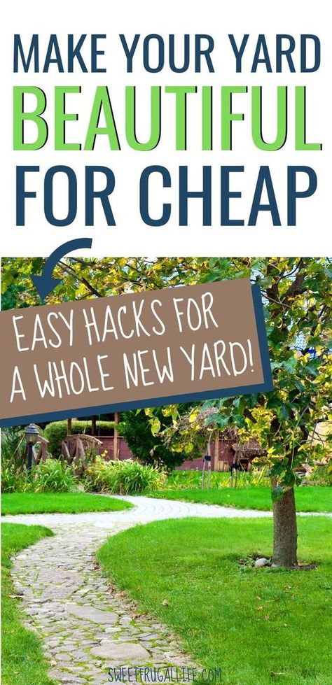 Front Yard Landscaping Diy On A Budget, Front Yard Curb Appeal On A Budget Diy, Easy Landscaping Ideas On A Budget, How To Make Your Yard Look Nice, Yard Landscaping Ideas On A Budget, Easy Yard Projects, Inexpensive Yard Landscaping, Diy Curb Appeal On A Budget Front Yards, Beginner Landscaping Ideas