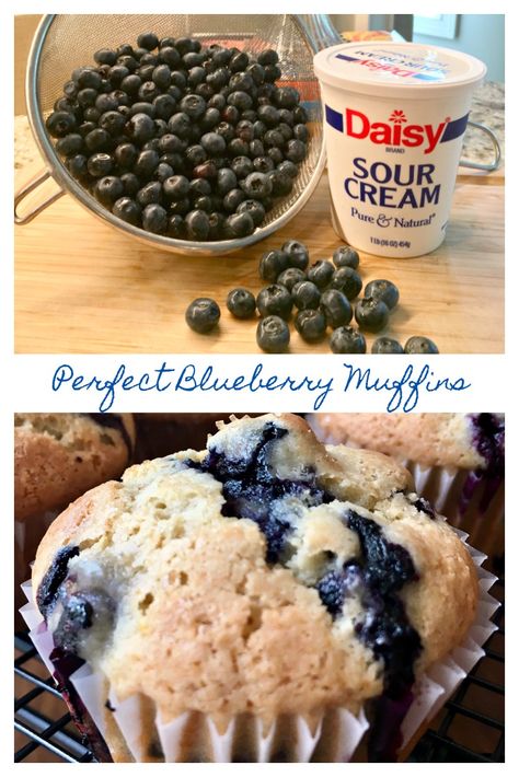 PERFECT BLUEBERRY MUFFINS RECIPE - Sweet Little Bluebird Perfect Blueberry Muffins, Daisy Sour Cream, Banana Crumb Muffins, Berry Muffins, Filled Muffins, Muffin Recipes Blueberry, Muffin Bread, Best Bakery, Blueberry Muffin