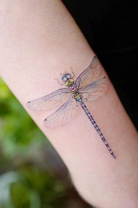 Dragonfly Tattoo Ideas, Firefly Tattoo, Dragonfly Tattoos, Alas Tattoo, Small Dragonfly Tattoo, Flying Tattoo, Dragonfly Tattoo Design, Tasteful Tattoos, Inspiration Tattoos