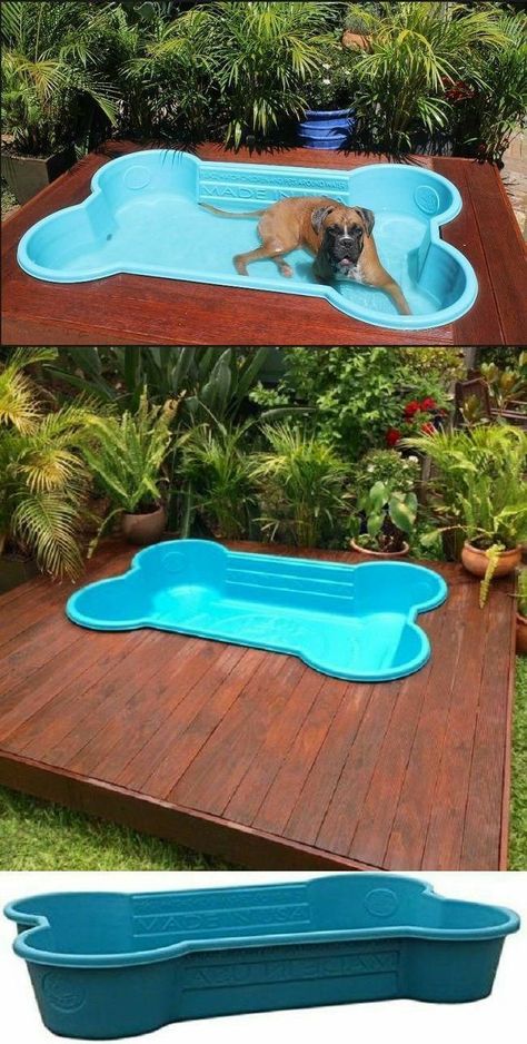 Dog Bone Pool, Dog Pool Ideas, Diy Dog Pool, Dog Friendly Backyard, Dog Backyard, Dog Room Decor, Puppy Room, Puppy Toys, Small Puppy