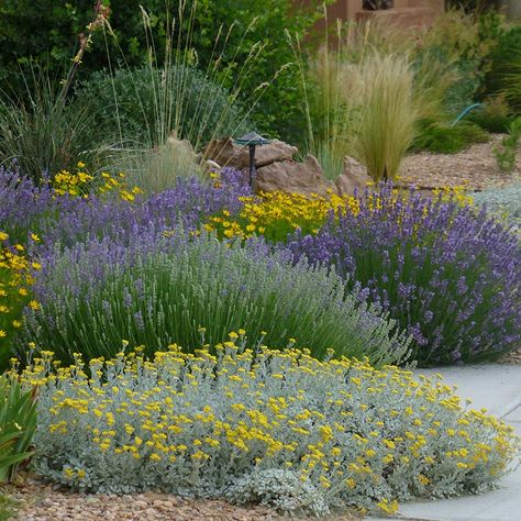 Compliment your plants by creating wonderful combinations using these basic design principles. Australian Garden Design, Mediterranean Garden Design, High Country Gardens, Australian Native Garden, Landscaping Inspiration, Dry Garden, Australian Garden, Gravel Garden, Mediterranean Garden