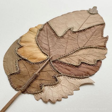 The evolution of Susanna Bauer’s stunning work continues with this recent piece which mixes magnolia, plane tree, poplar, eucalyptus, ginkgo, and oak leaves. Susanna regularly posts her beautiful work on Facebook. She has a web site too. Her next show will be in Switzerland in 2022 with Le Salon Vert. Leaf Art Diy, Dry Leaf Art, Plane Tree, Embroidery Leaf, Embroidered Leaves, Leaf Crafts, Stitch Book, Oak Leaves, Painted Leaves