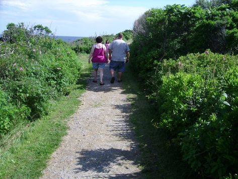 Giant's Stairs - McIntosh Lot Preserve - Maine Trail Finder Land Trust, Open Fires, Trail Maps, Atlantic Ocean, Outdoors Adventure, The Rock, Maine, Surfing, Stairs