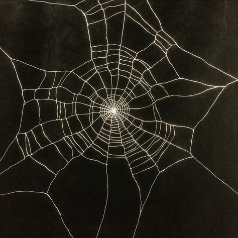 Sketch Spider Web, Geometric Spider Web, Spider Web Photo, Cob Web Design, Wolf Spider Aesthetic, Spiderweb Reference, Spider Web Frame, Cobweb Aesthetic, Black Widow Spider Aesthetic