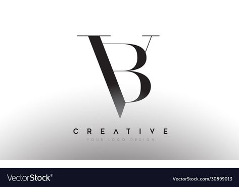 Bv Logo Design, Bv Logo, N Logo Design, Classic Elegant Style, Dream Logo, Art Painting Tools, Fitness Logo Design, Luxury Logo Design, Letter Design