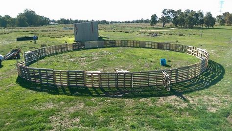 Round yard made from pallets Pallet Round Pen For Horses, Round Pens For Horses, Cross Country Jumps, Horse Farm Ideas, Horse Arena, Horse Shelter, Round Pen, Horse Camp, Horse Property