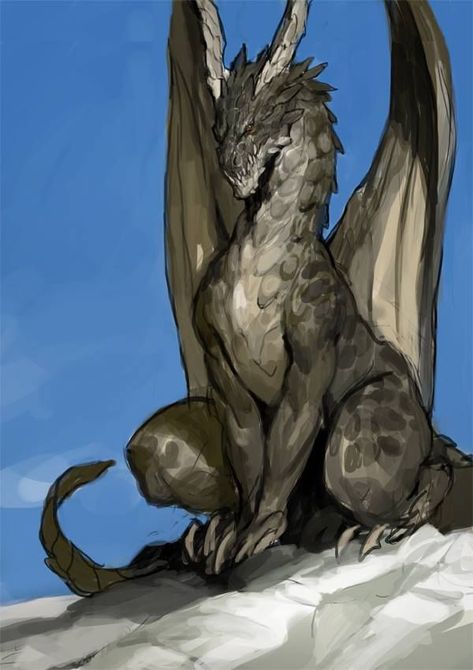 Dragon of Bormes Cool Dragons, Dragon Pictures, Fantasy Creatures Art, Dragon Artwork, Mythical Creatures Art, Dragon Drawing, Mythological Creatures, Fantasy Dragon, Mystical Creatures