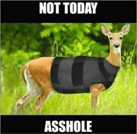 best funny pictures, funny pics, funny photos, funny pictures, funny vids, the best funny pictures, really funny photos, funny photos of animals Funny Hunting Pics, Deer Hunting Humor, Hunting Jokes, Insta Memes, Funny Deer, Hunting Humor, Funny Animal Jokes, A Deer, Not Today