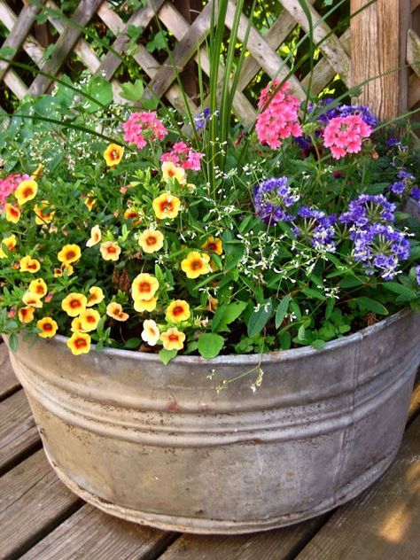 Common Ground: Container Planter Inspiration Full Sun Container Plants, Full Sun Flowers, Uk Garden, Garden Containers, Outdoor Flowers, Annual Flowers, Container Flowers, Country Gardening, Lawn And Garden