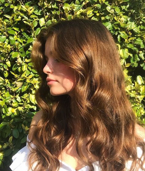 Warm Brown Hair, Brown Wavy Hair, Haircuts For Wavy Hair, Long Brown Hair, Hair Inspo Color, Dream Hair, Light Brown Hair, Aesthetic Hair, Hairstyles Haircuts