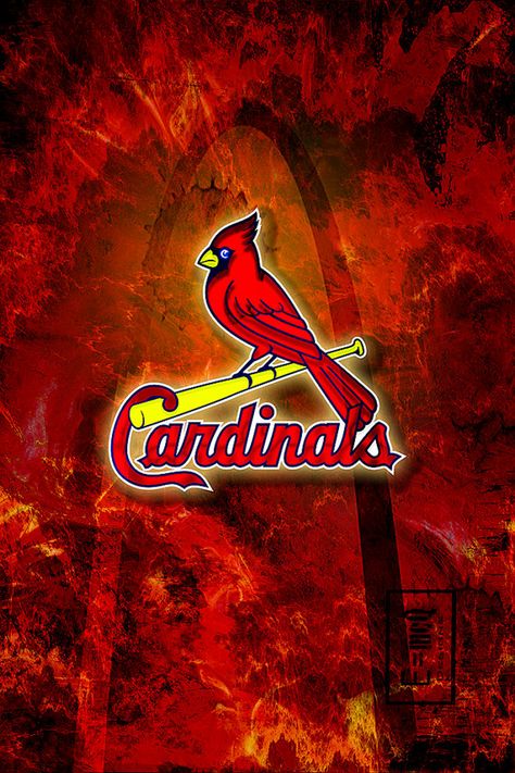 St Louis Cardinals Wallpaper, Cardinals Wallpaper, Stl Cardinals Baseball, Cardinals Players, Baseball Wallpaper, St Louis Cardinals Baseball, Wallpaper For Android, Stl Cardinals, Mlb Logos