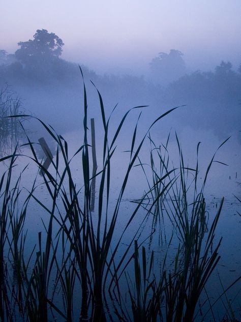 Fluffy Veil, Kevin Day, Pale Moon, Summer Palette, Mood Images, Park Pictures, Misty Morning, Seaside Cottage, Foggy Morning