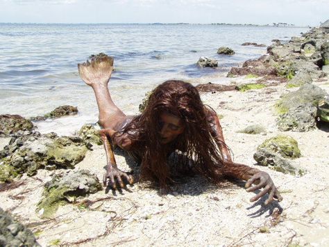 Are Mermaids Real? The Long Tail of a Simple Question - Atlas Obscura Real Mythical Creatures, Real Mermaids Found, Real Mermaids Sightings, Real Life Mermaid Found, Mythical Creatures List, Scary Mermaid, Mermaid Sightings, Evil Mermaids, Mermaid Gifs