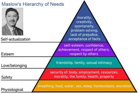 Motivational Theory Maslow’s Hierarchy Of Needs, Hierarchy Of Needs, Maslow's Hierarchy Of Needs, Viktor Frankl, Abraham Maslow, Self Actualization, Nurse Stuff, Self Concept, Developmental Psychology