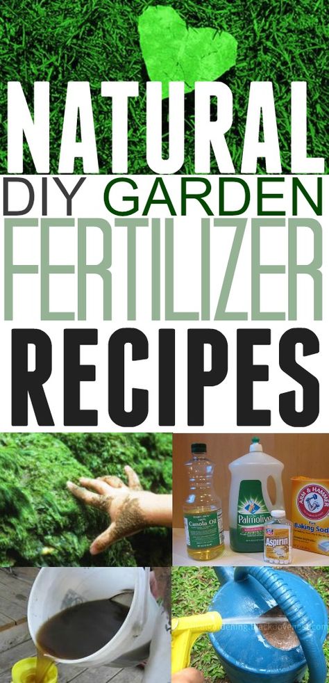 Garden Fertilizers, Natural Plant Fertilizer, Diy Fertilizer, Diy Lawn, Lawn Fertilizer, Natural Fertilizer, Garden Compost, Fertilizer For Plants, Organic Gardening Tips